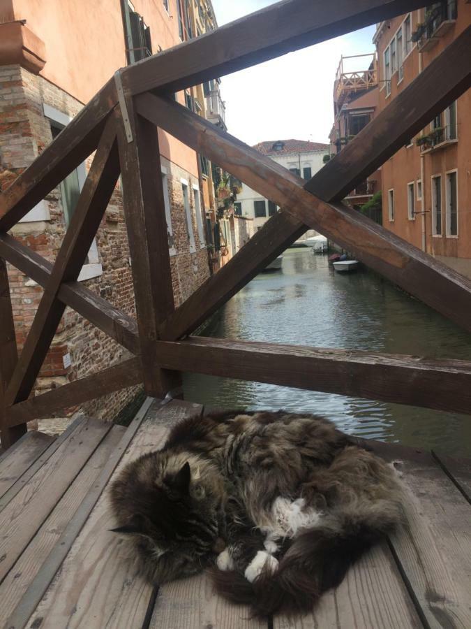 Tintoretto 1 Con Terrazza Sopra Il Tetto, 3 Bagni, 3 Grandi Camere Da Letto, Super Nuovo Venezia Eksteriør bilde